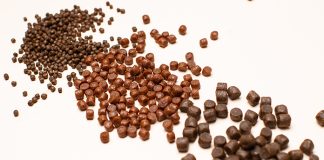 Nofima: Consumers distrust use of insects and microalgae in salmon feed