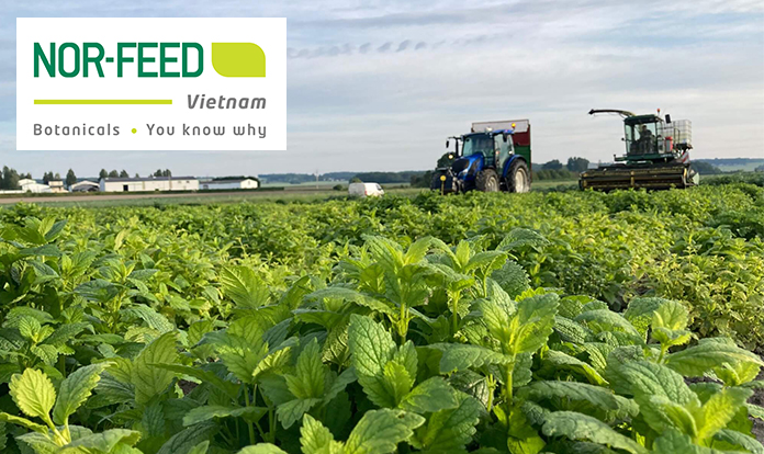 Nor-Feed becomes sole shareholder of Nor-Feed Vietnam