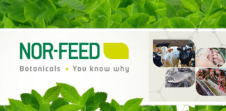 Nor-Feed measures environmental impact of its products