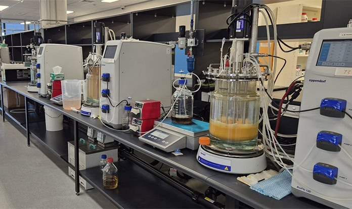 Novonesis set to take full ownership of MicroBioGen