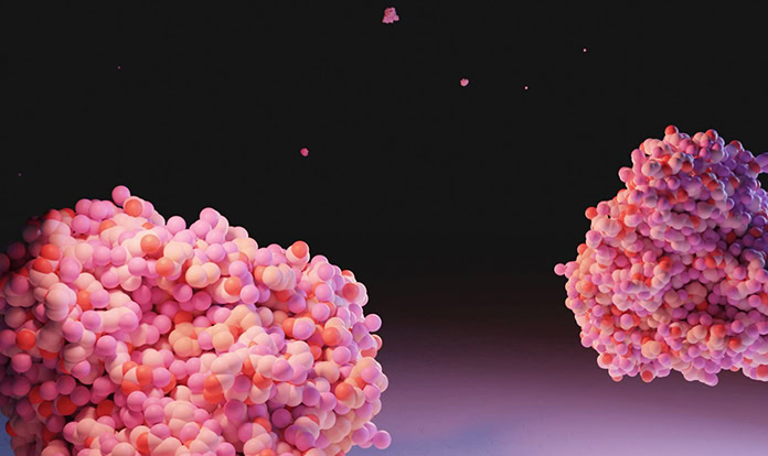 Novus and Ginkgo Bioworks team up to develop innovative feed additives