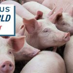 Novus and Nutra Blend support pork industry at World Pork Expo