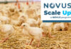 Novus launches its new Scale Up Program for Broiler