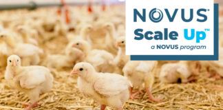 Novus launches its new Scale Up Program for Broiler