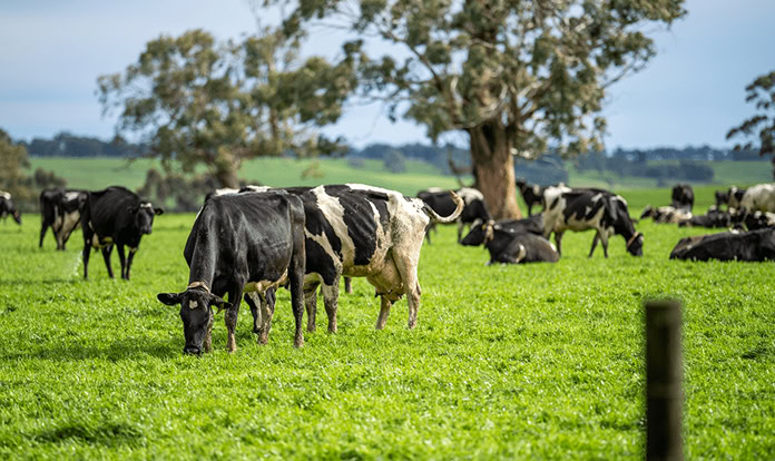 Novus to discuss challenges, opportunities of Australian dairy industry