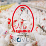 Novus to highlight egg and meat challenges