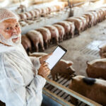 Novus to highlight precision nutrition for swine immunity