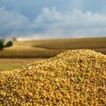 Novus to share analysis of U.S. soybean meal quality at IPPE 2025