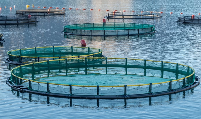 Nutreco invests in Proteon Pharmaceuticals