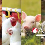 Nutreco to acquire South African company