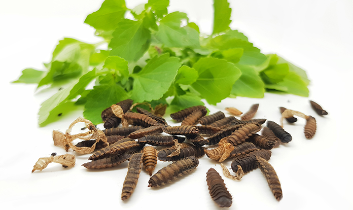 Nutrition Technologies closes US$20 million equity round