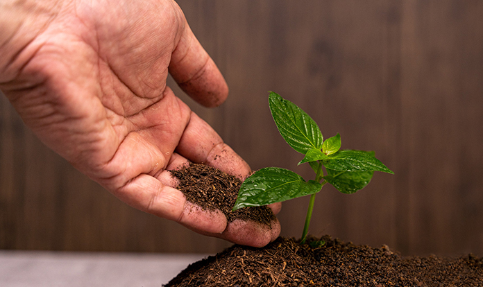 Nutrition Technologies launches Diptia™ biofertilizer from insect frass