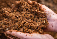 Nutrition concerns rise for dairy herds this spring