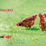 OCP Group finalizes acquisition of 50% stake in GlobalFeed