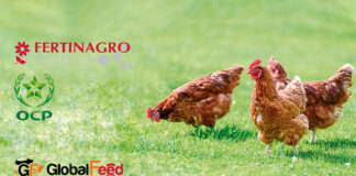 OCP Group finalizes acquisition of 50% stake in GlobalFeed