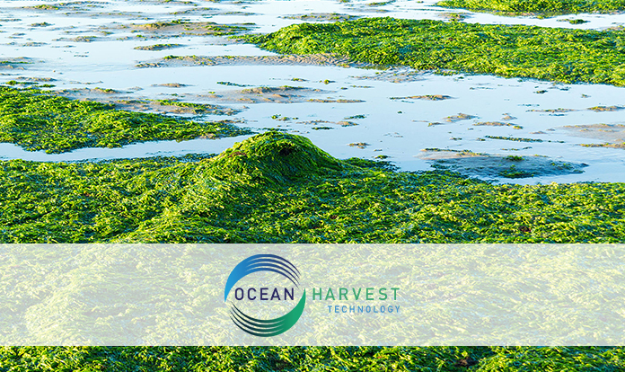 Ocean Harvest obtains its second patent for OceanFeed™