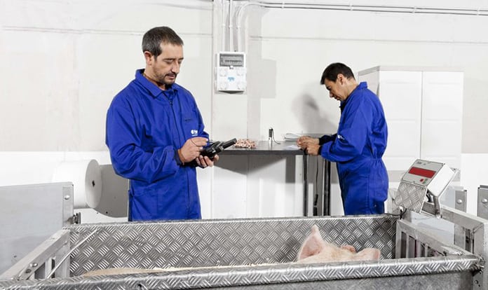 Omsky bacon signs a agreement with Hendrix Genetics