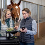 On-site feed analysis transforms equine nutrition management