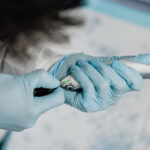 Onda strengthens fish health research tools