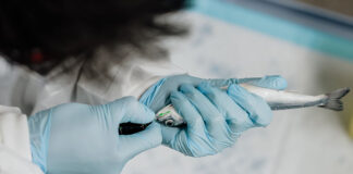 Onda strengthens fish health research tools