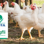 Orffa secures GFLI certification for its nutritional emulsifier