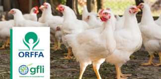 Orffa secures GFLI certification for its nutritional emulsifier