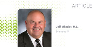 Overcoming heat stress: strategies for hoof health in dairy cows