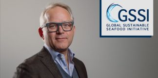 Øyvind Ihle appointed as new CEO of GSSI