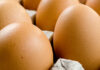 PFAS found in organic eggs in Denmark