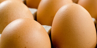 PFAS found in organic eggs in Denmark