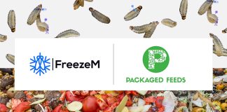 Packaged Feeds and FreezeM partner for zero-waste BSF farming