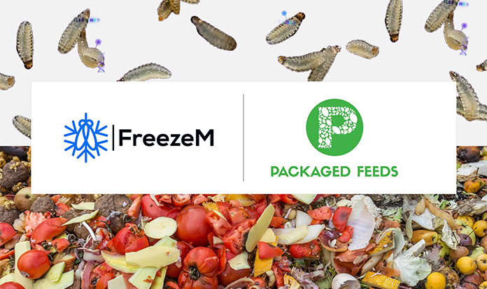 Packaged Feeds and FreezeM partner for zero-waste BSF farming