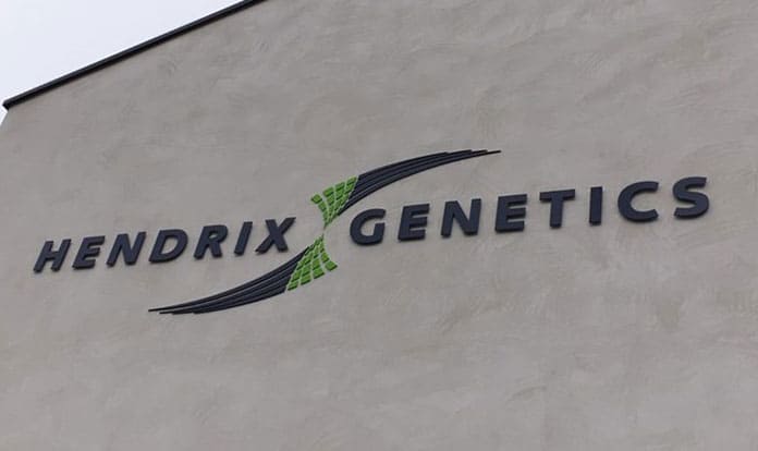Paine Schwartz to buy 50 % shares in Hendrix Genetics