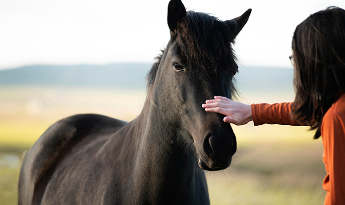 Pavo strengthens market position through acquisition of Thunderbrook in UK