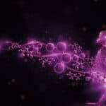 Perstorp launches Gastrivix™ Avi for poultry