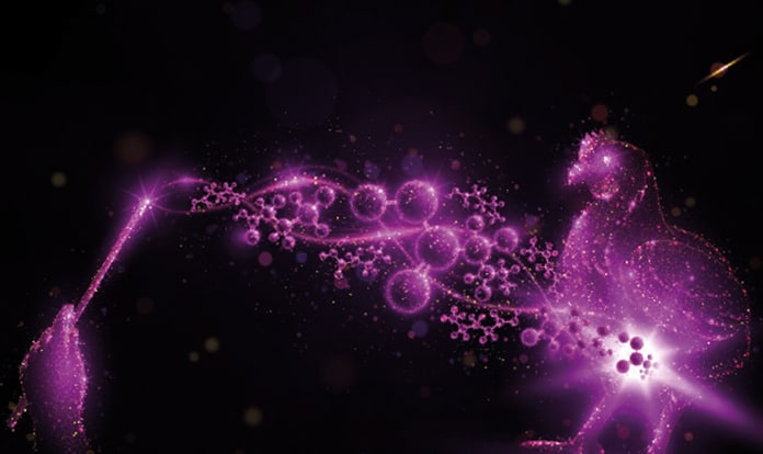 Perstorp launches Gastrivix™ Avi for poultry