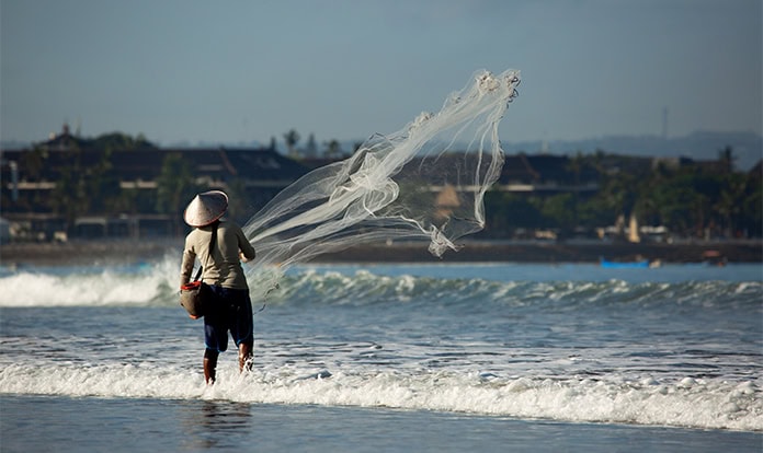 Peru prolongs fishing ban as global fishmeal and fish oil supply tightens