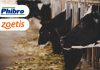 Phibro completes acquisition of Zoetis’ MFA product portfolio