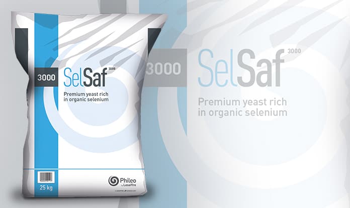 Phileo by Lesaffre to invest in new factory in Spain