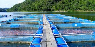 PhyGeno introduces Extraqua for aquaculture