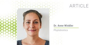 Phytobiotics’ flavours optimize feed intake in piglets