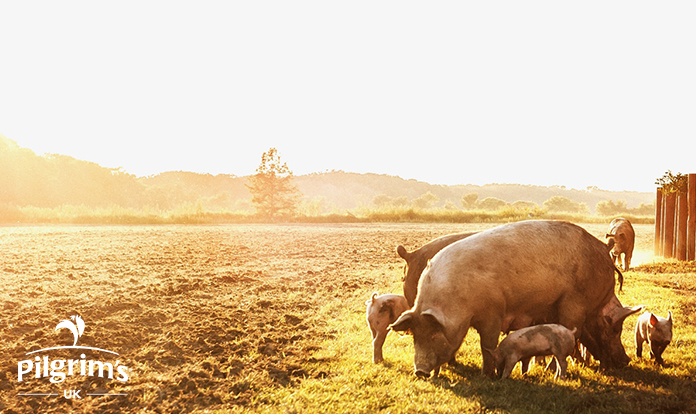 Pilgrim’s proposes closure of Ashton site