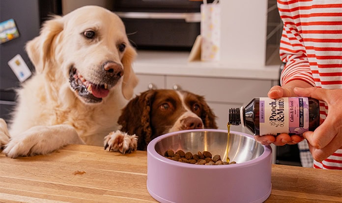 Pooch & Mutt adds Calm & Relaxed Hemp Oil to Wellbeing range 