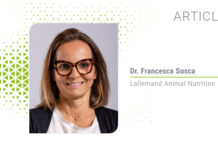 Postbiotics: The next generation of pet gut health support