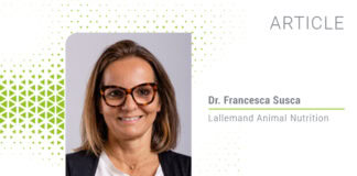 Postbiotics: The next generation of pet gut health support