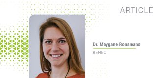 Potential of rice protein for cat food development in 2025