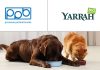 Premium Petfood Brands expands portfolio with organic pet food brand