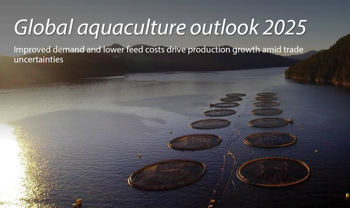 Production for key aquaculture species expected to increase in 2025