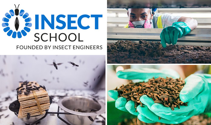 Insect Engineers opening its Insect School