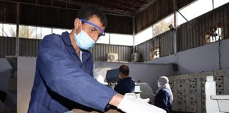 Proteina’s sustainable insect protein secures EU support